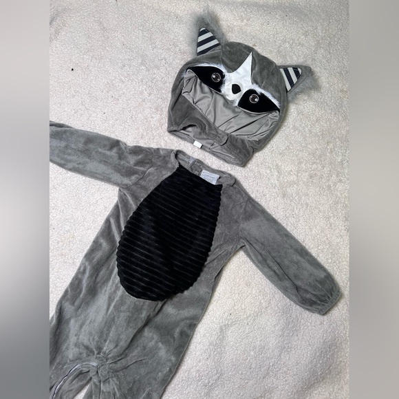 Spirit Gray and Black Raccoon Kids Costume - Picture 2 of 7
